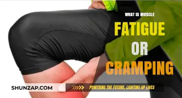 Understanding Muscle Fatigue and Cramping: Causes and Remedies