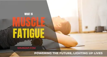 Understanding Muscle Fatigue: Causes and Effects