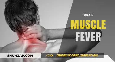 Understanding Muscle Fever: Causes, Effects, and Treatment
