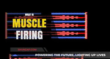 Understanding Muscle Firing: How Muscles Contract and Move