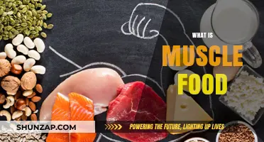 Muscle Food: What It Is and Why You Need It