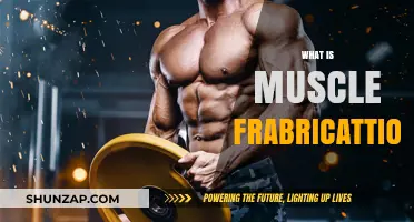 Muscle Fabrication: Building Strength Through Science