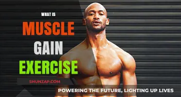 Effective Muscle Gain Exercises: Build Strength and Size Fast