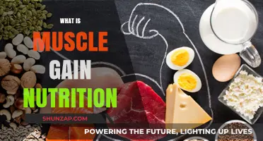 Fuel Your Muscle Growth: Essential Nutrition Tips for Strength and Size