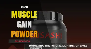 Understanding Muscle Gain Powder: Benefits, Ingredients, and Usage Explained