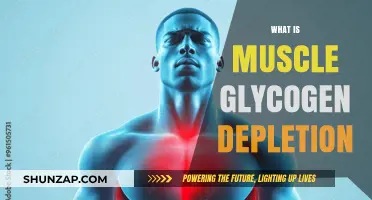 Understanding Muscle Glycogen Depletion and its Impact