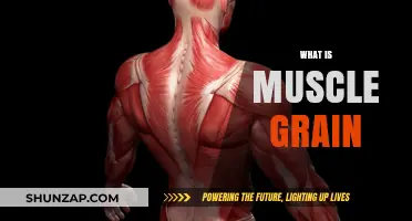 Understanding Muscle Grain: What It Is and Why It Matters