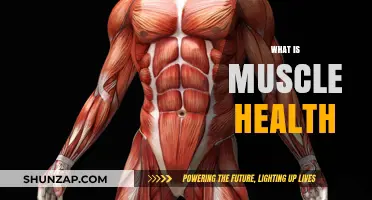 Muscle Health: Understanding the Science of Movement