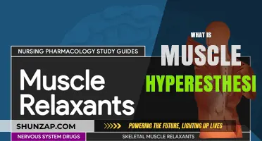 Understanding Muscle Hyperesthesia: Sensitivity and Pain