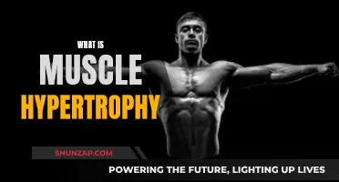 Muscle Hypertrophy: Understanding the Science of Muscle Growth