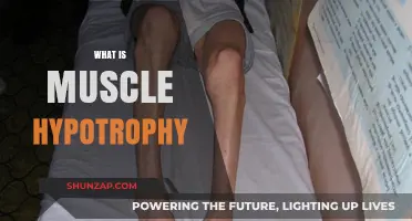 Understanding Muscle Hypertrophy: Building Strength and Size