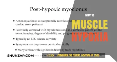 Hypoxia and Muscles: Understanding Oxygen Deprivation