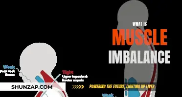 Muscle Imbalance: Understanding the Basics of Muscle Performance