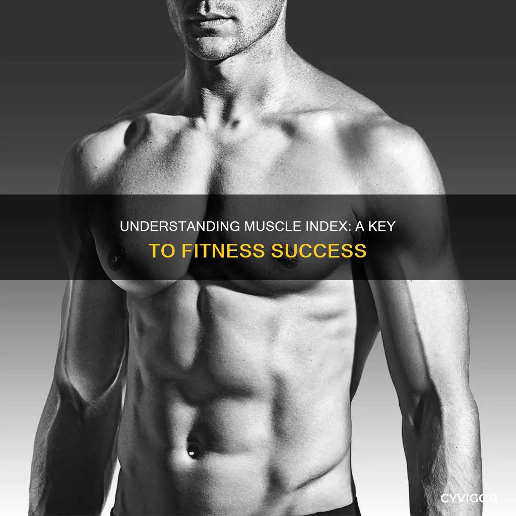 what is muscle index