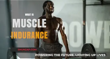 Understanding Muscle Endurance: The Key to Unlocking Performance