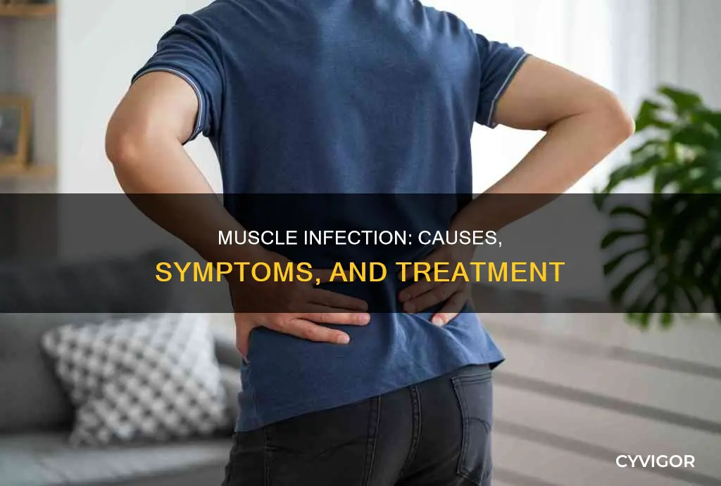 what is muscle infection