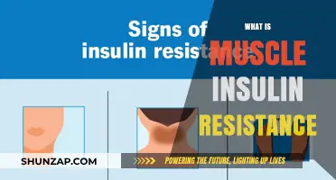 Understanding Muscle Insulin Resistance: Causes and Effects