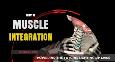 Unlocking Muscle Integration: Unlocking the Body's True Potential
