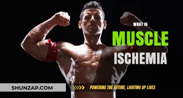 Understanding Muscle Ischemia: Causes and Effects