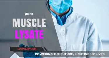 Muscle Lysate: What's the Deal?