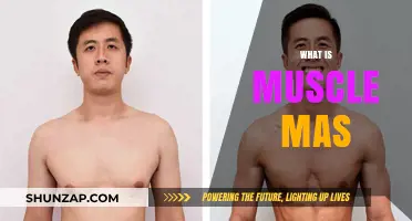 Understanding Muscle Mass: Definition, Benefits, and How to Gain It