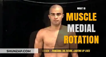Understanding Muscle Medial Rotation: Definition and Examples