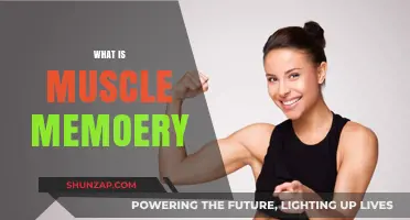 Muscle Memory: How Your Body Remembers