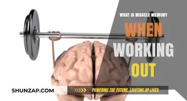 Understanding Muscle Memory: How It Enhances Your Workout Results