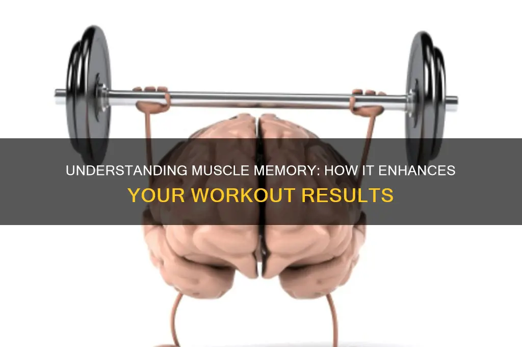what is muscle memory when working out