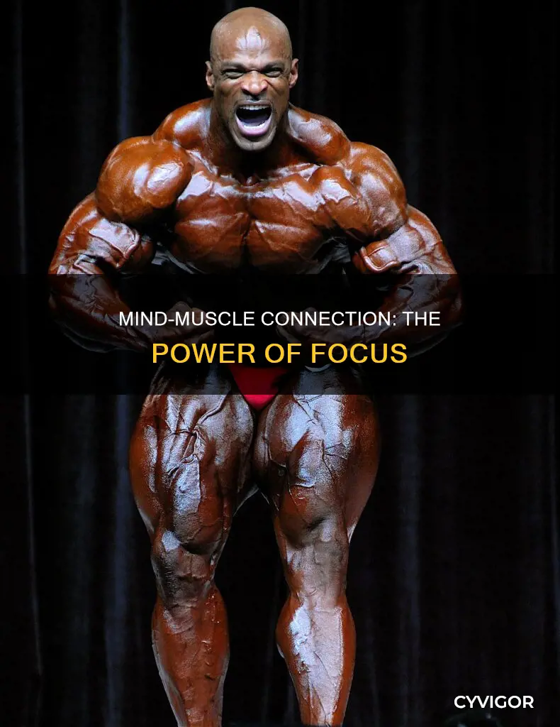 what is muscle mental connection
