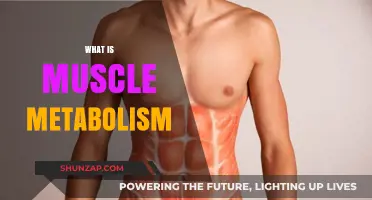 Muscle Metabolism: Unlocking the Secrets of Muscles and Energy
