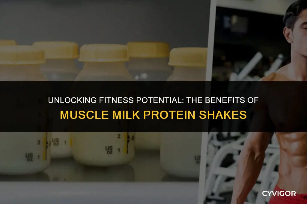 what is muscle milk protein shake good for