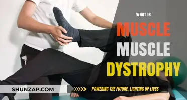 Understanding Muscle Dystrophy and Its Impact