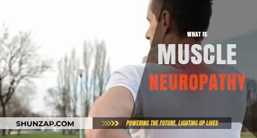 Understanding Muscle Neuropathy: Causes and Treatments