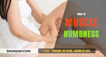 Understanding Muscle Numbness: Causes and Treatment Options