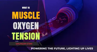 Muscle Oxygen Tension: Understanding the Science Behind It