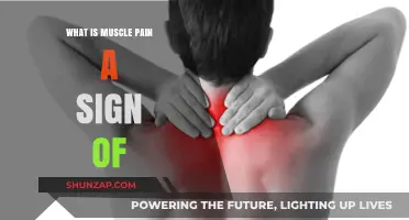 Understanding Muscle Pain: Causes, Symptoms, and Underlying Health Indicators