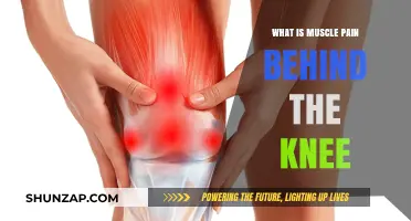 Understanding Muscle Pain Behind the Knee: Causes and Relief Tips
