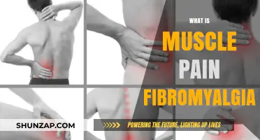 Understanding Fibromyalgia Muscle Pain: Causes, Symptoms, and Relief Strategies
