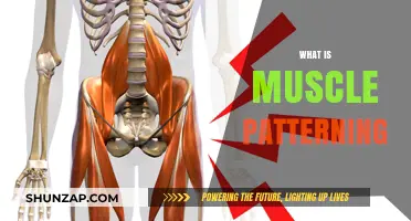 Muscle Patterning: Unlocking the Secret to Movement Efficiency