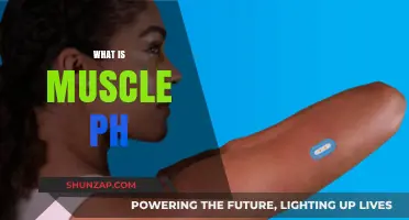Understanding Muscle pH: The Science Behind Muscle Function