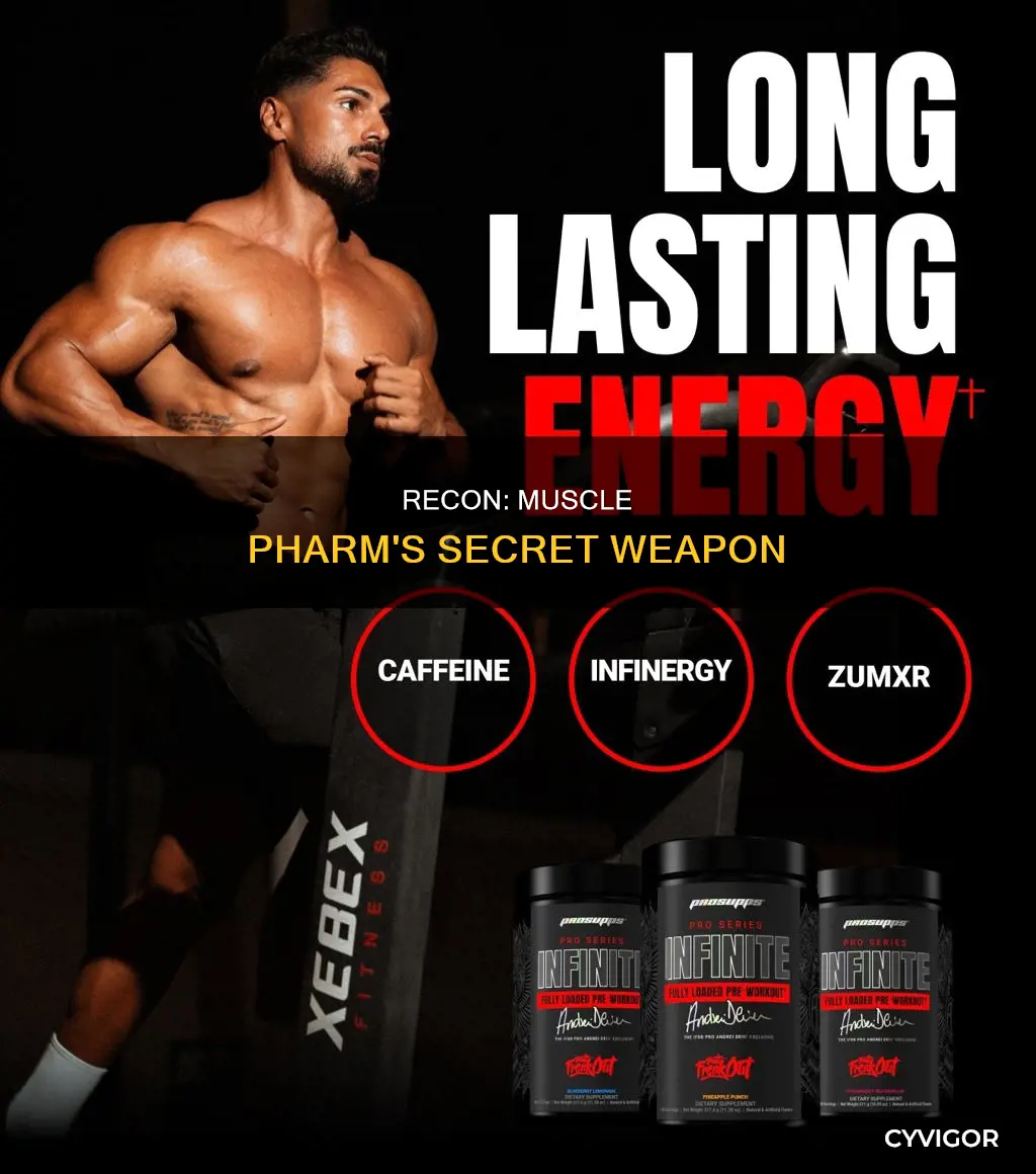 what is muscle pharm recon