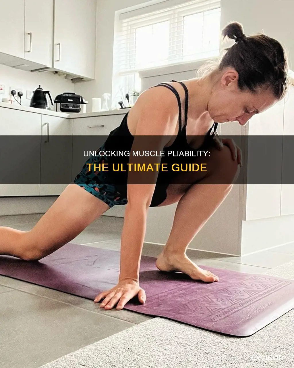 what is muscle pliability definition