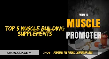 Muscle Promoters: How Do They Work?