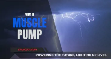 Understanding the Science Behind Muscle Pumps