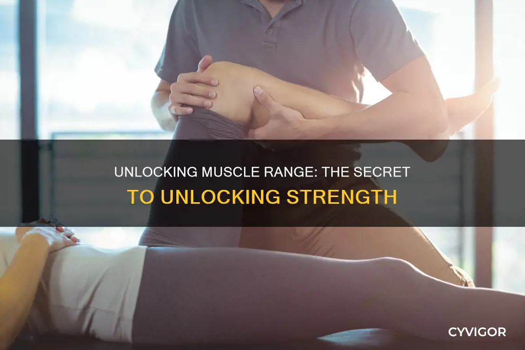 what is muscle range