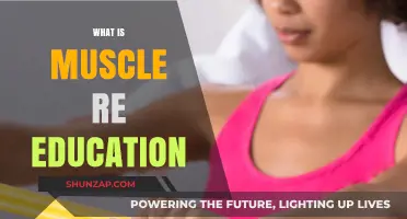 Muscle Re-education: How to Retrain Your Muscles