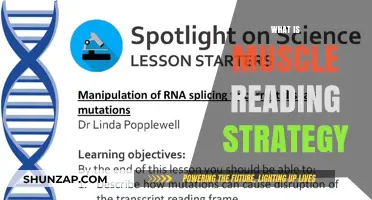 Master Muscle Reading to Decode Body Language