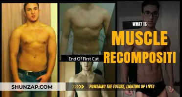 Muscle Recomposition: Building Muscle While Losing Fat