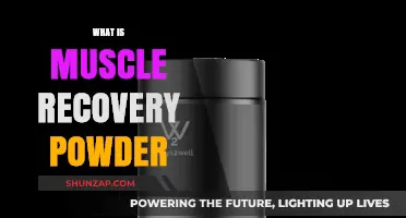 Muscle Recovery Powder: What, Why, and How?